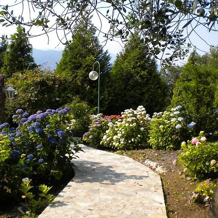 Villa Castellaccio - 14499
